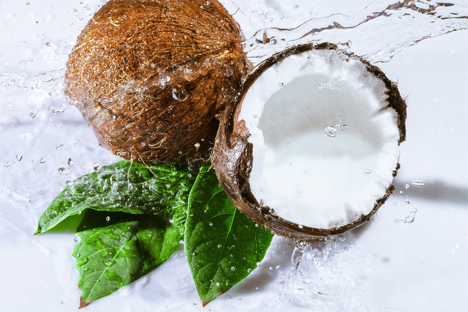 Enriched Coconut Waters : healthy coconut drink