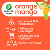 Orange Mango - 24 Pack